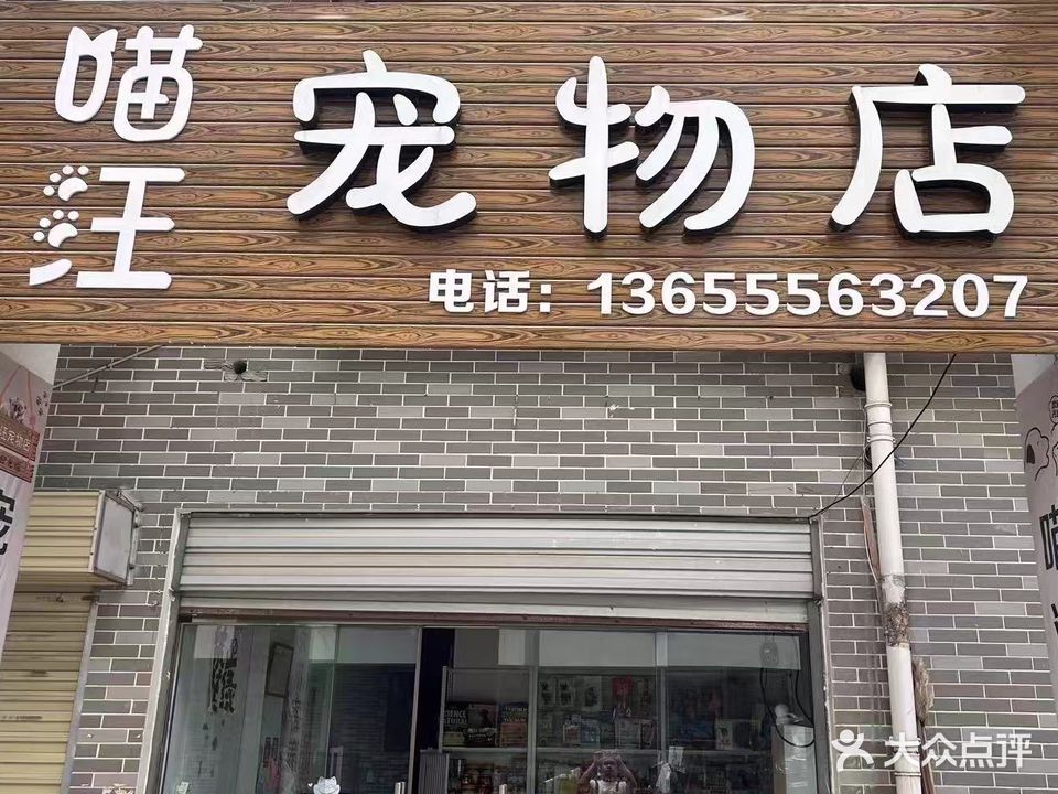 喵旺宠物店