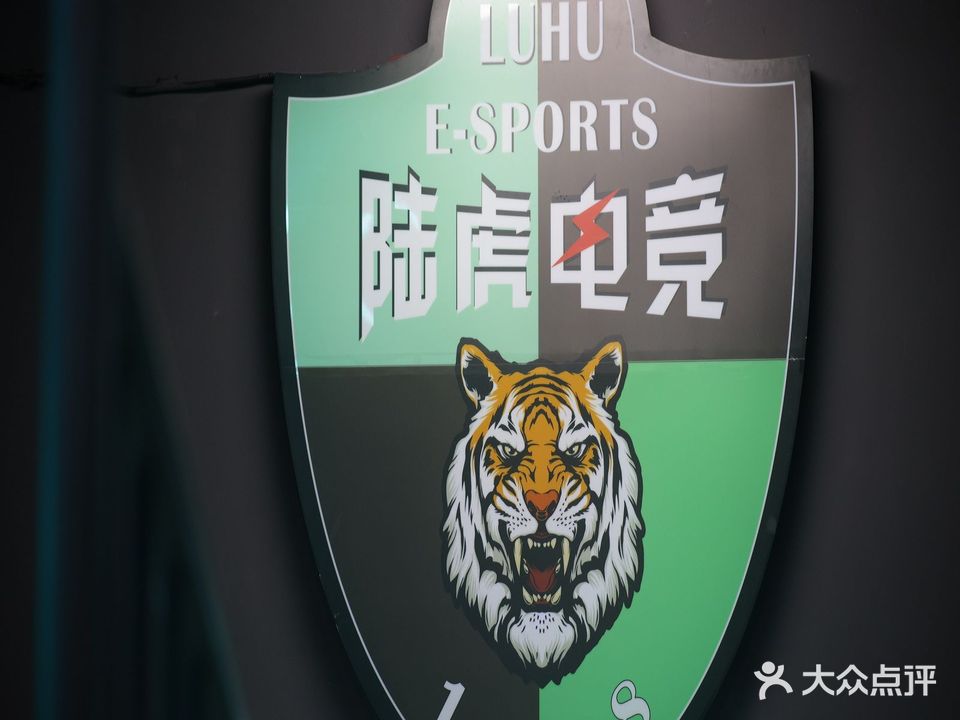 陆虎ZG电竞管