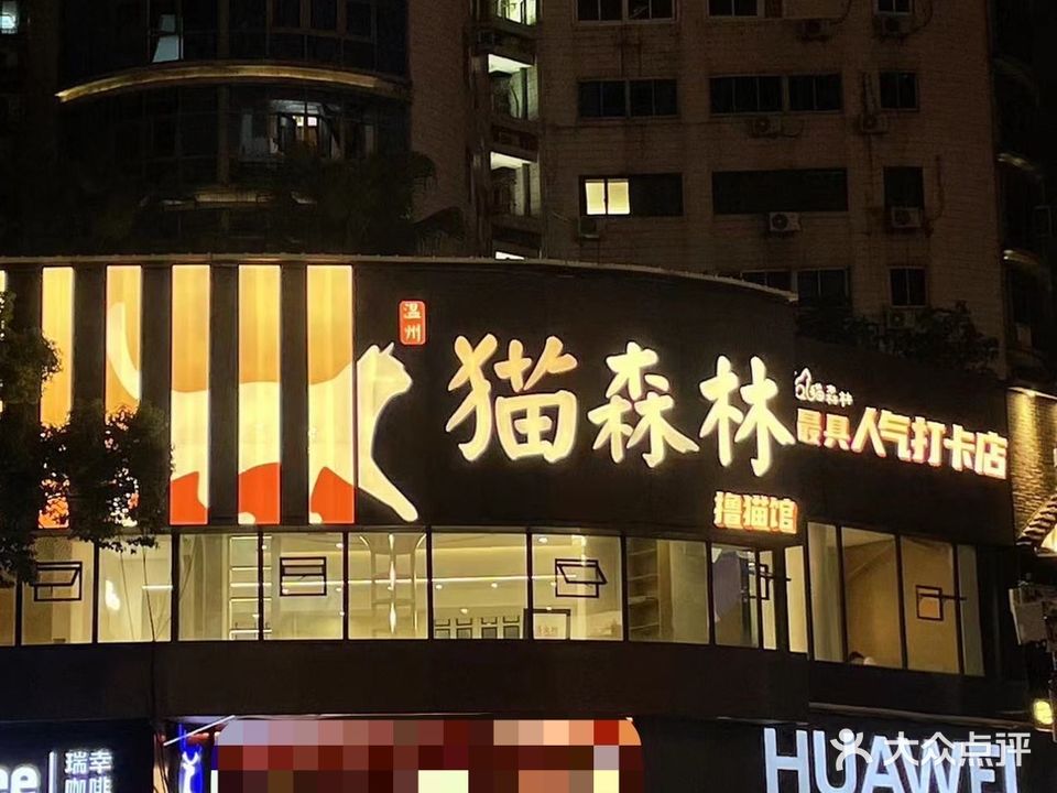 猫森林撸猫馆
