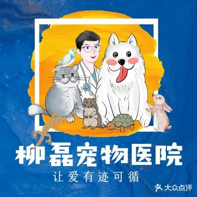 柳磊宠物医院(骨科猫科急重症转诊中心)
