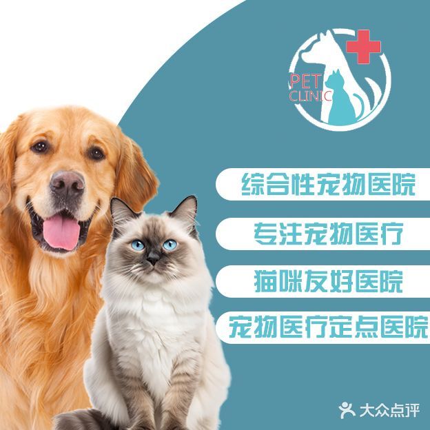 善宠物诊疗所(德清店)