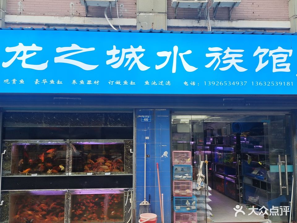 龙之城水族馆(中心城店)