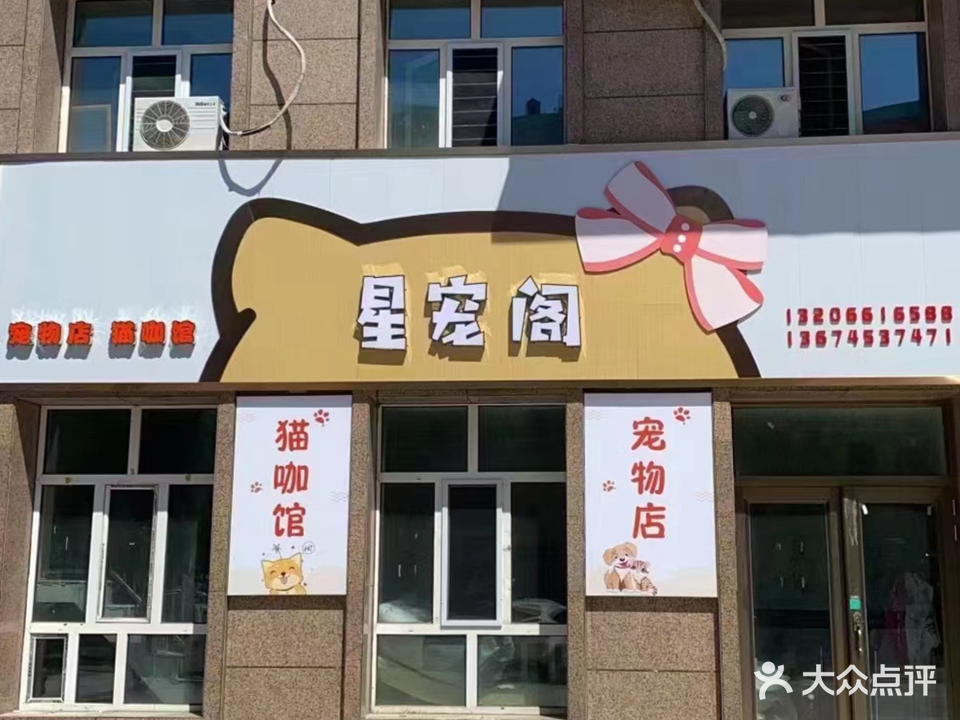 星宠阁猫咖宠物店