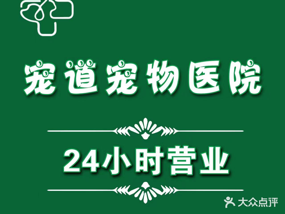 仁仁宠物医院(东河店)