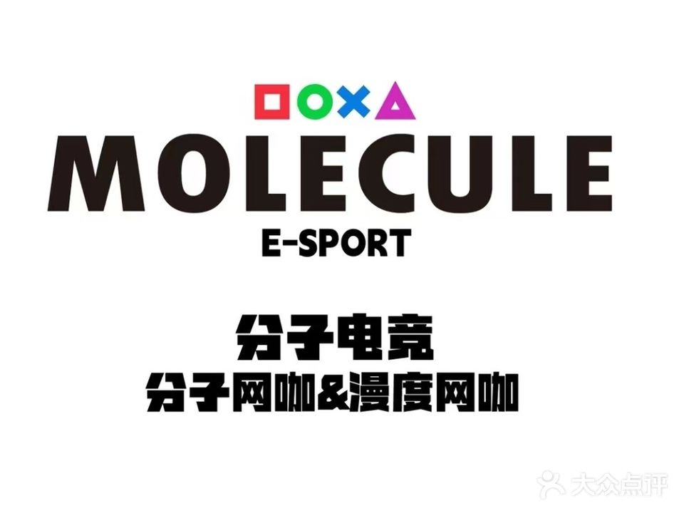 分子网咖
