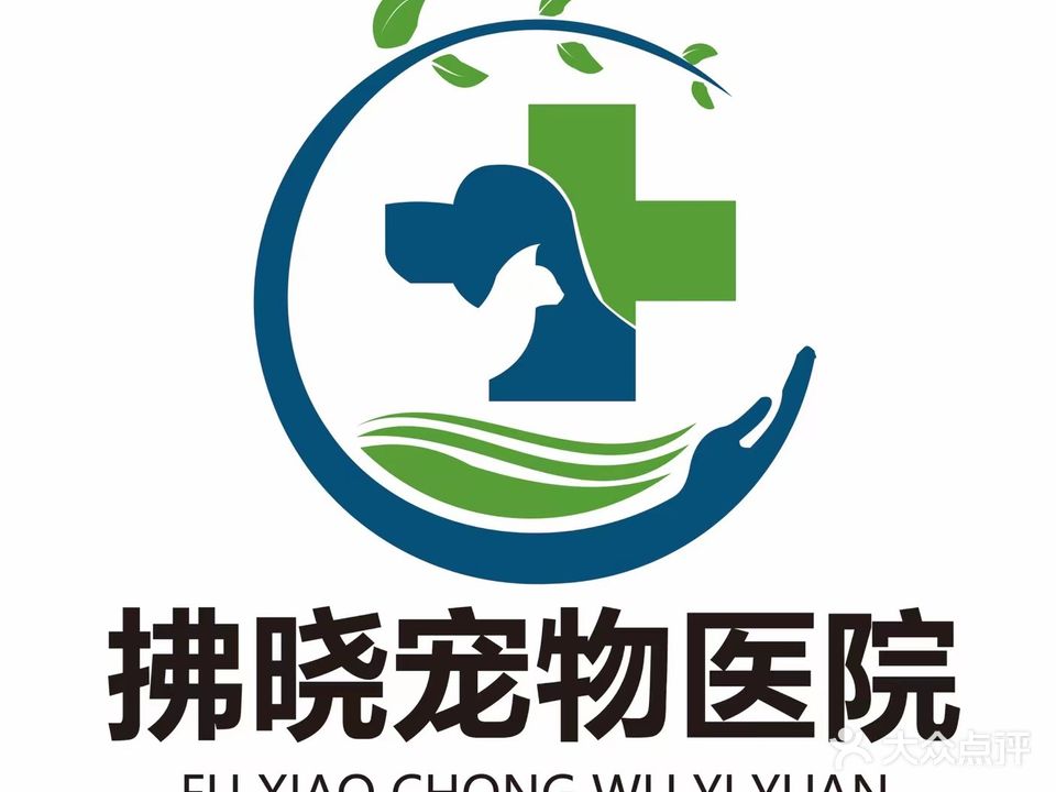 拂晓动物医院全科·猫科·骨科·尿闭·急重症中心