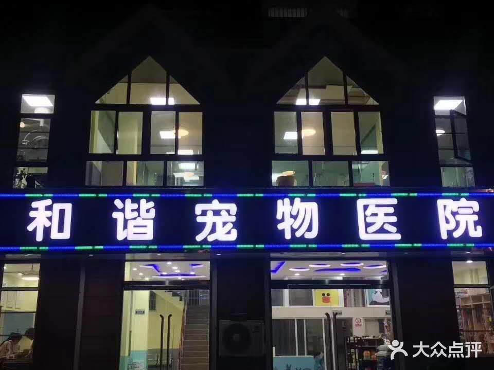 和谐宠物医院