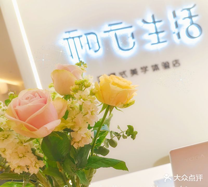 初云生活·沉浸式美学体验店)