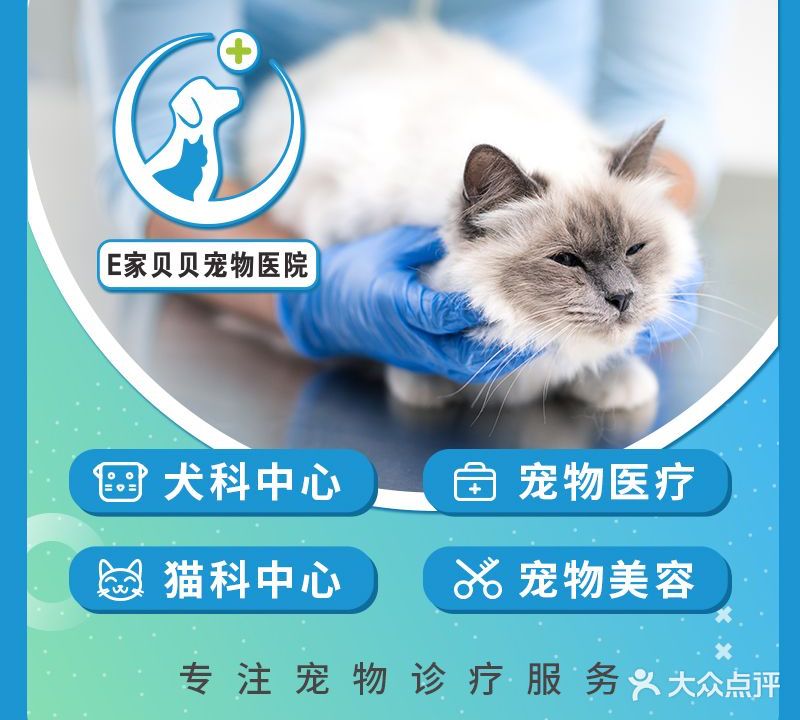 E家宠物医院·心脏·腔镜
