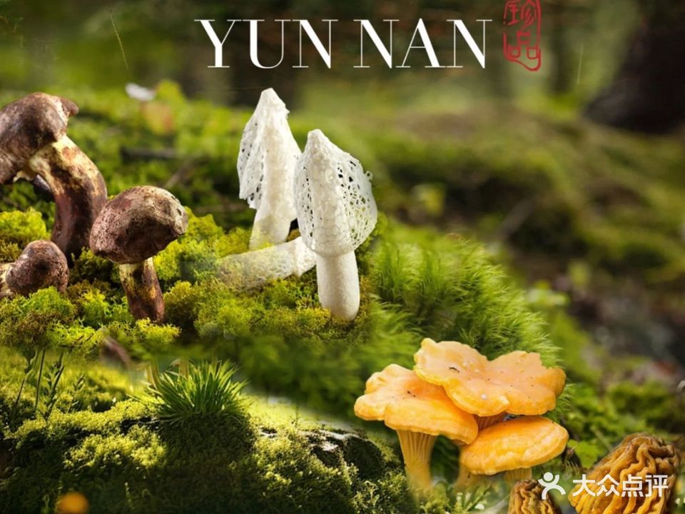 菌渔湾·野生菌石锅鱼石锅鸡(东星小区店)