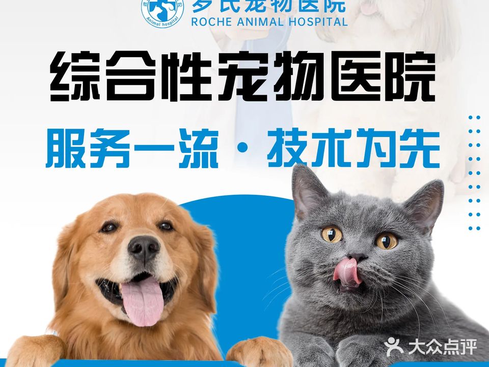 罗氏宠