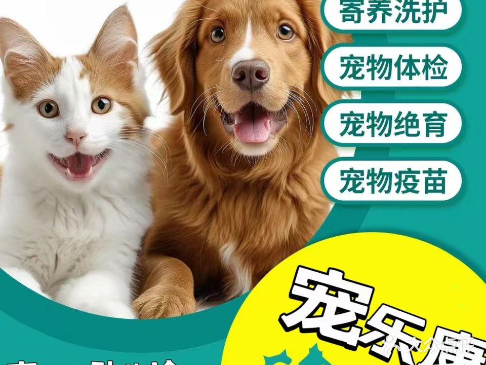 宠乐康动物诊所(黄桷垭街店)