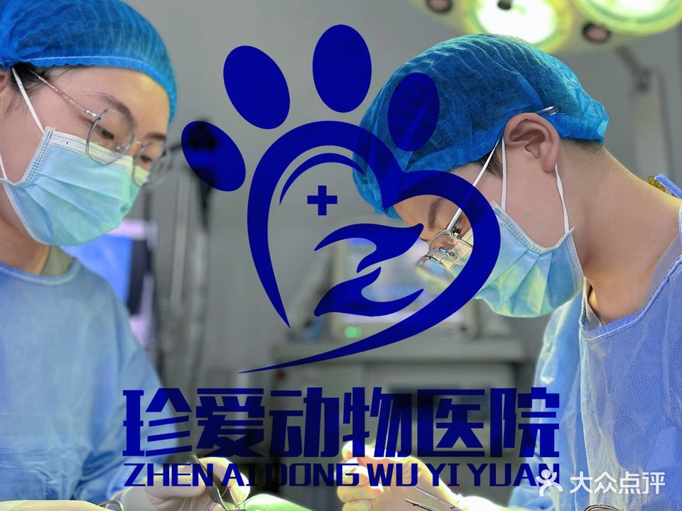 珍爱动物医院