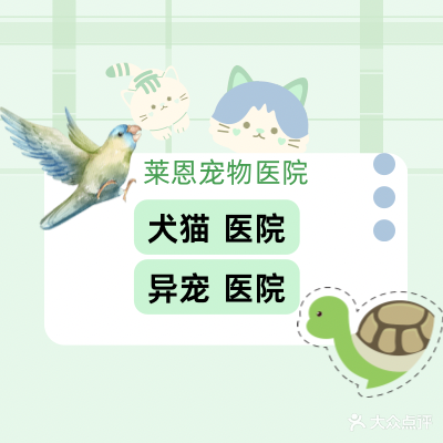 莱恩宠物医院·犬猫专科·异宠科