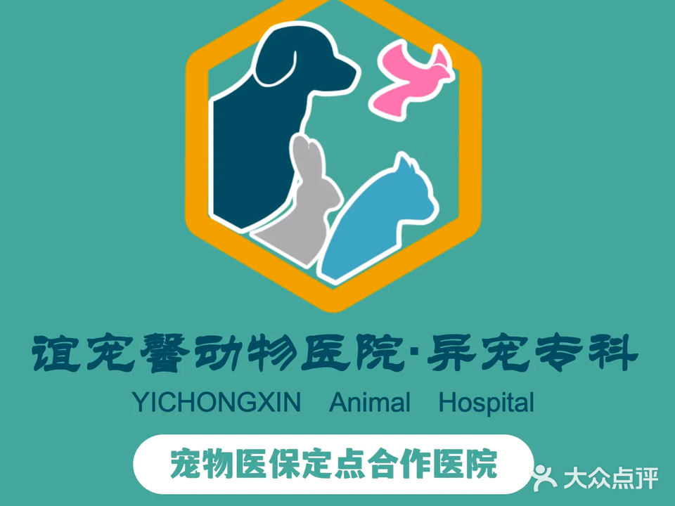 谊宠馨宠物诊所