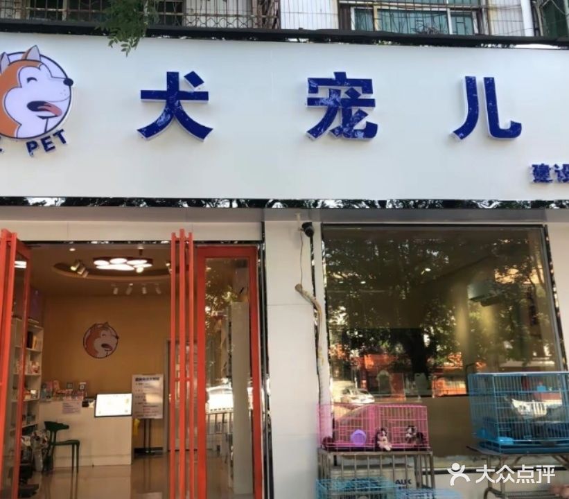 犬宠儿(建设北路店)
