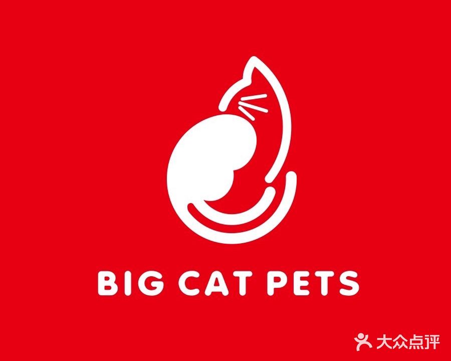 大猫宠物
