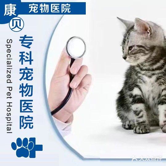 康碚宠物医院·猫病专科(中心店)