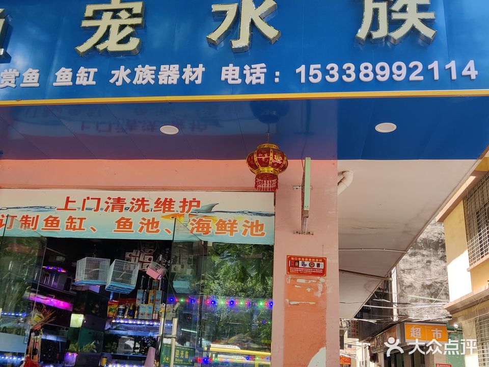 鱼宠水族