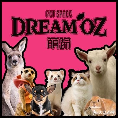 萌踪DreamOZ撸宠咖·猫咖·撸猫·水豚(和平印象城店)