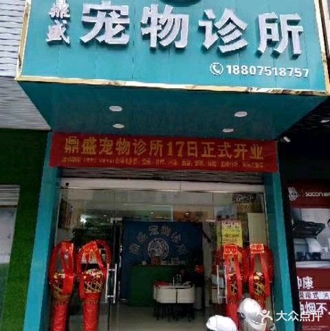 鼎盛宠物诊所