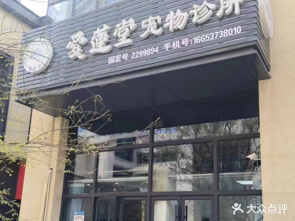 爱莲堂动物诊所
