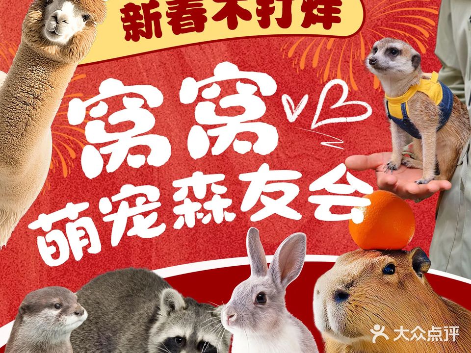 窝窝萌宠森友会(世界之窗店)