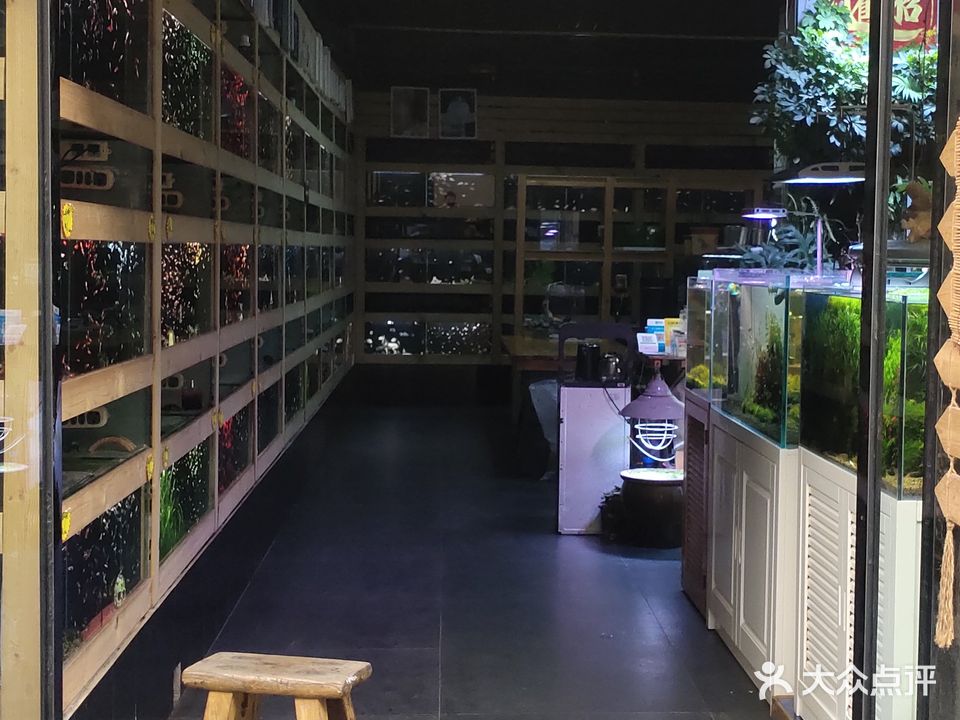 洪毅水族生活馆(东方广场店)