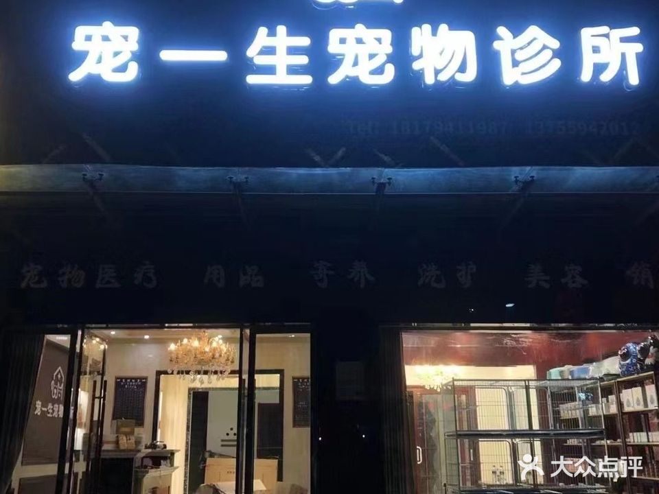 宠一生宠物诊所
