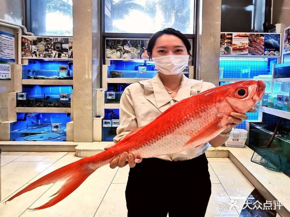 鼎品鲜·西沙海钓酒楼(黎客店)