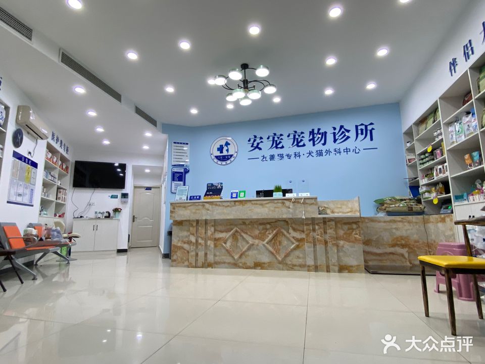 安。宠物诊所