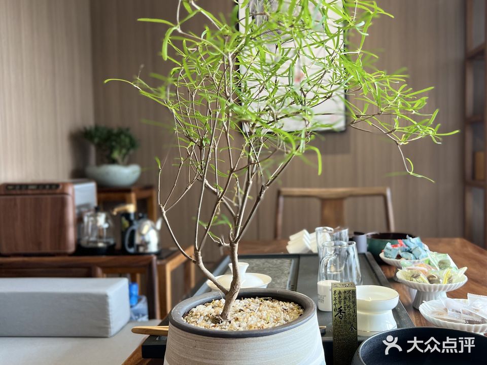 临下轩共享茶室