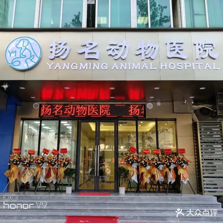 扬名动物医院