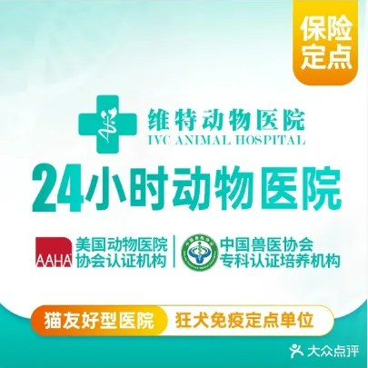 维特动物医院(武汉动物医院)