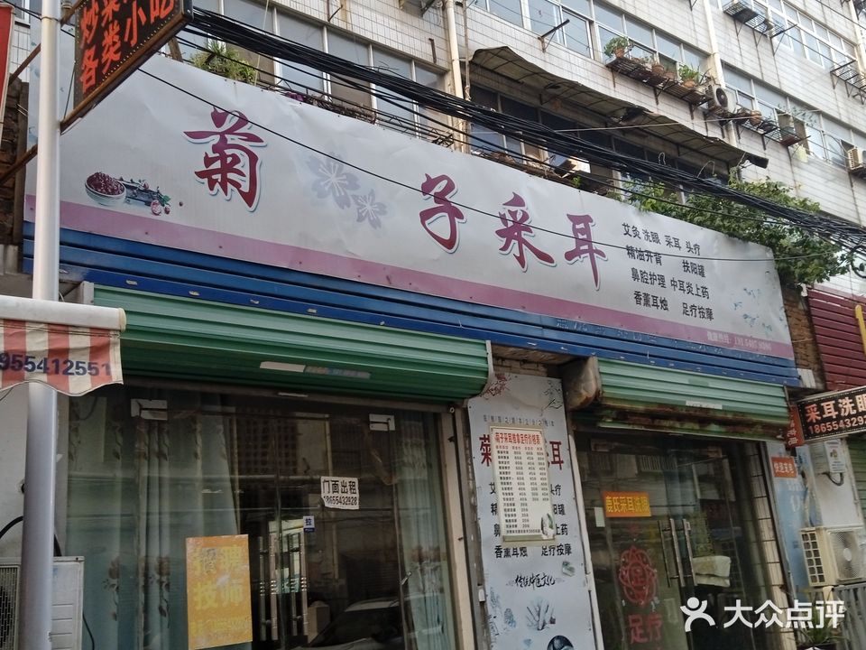 菊子采耳
