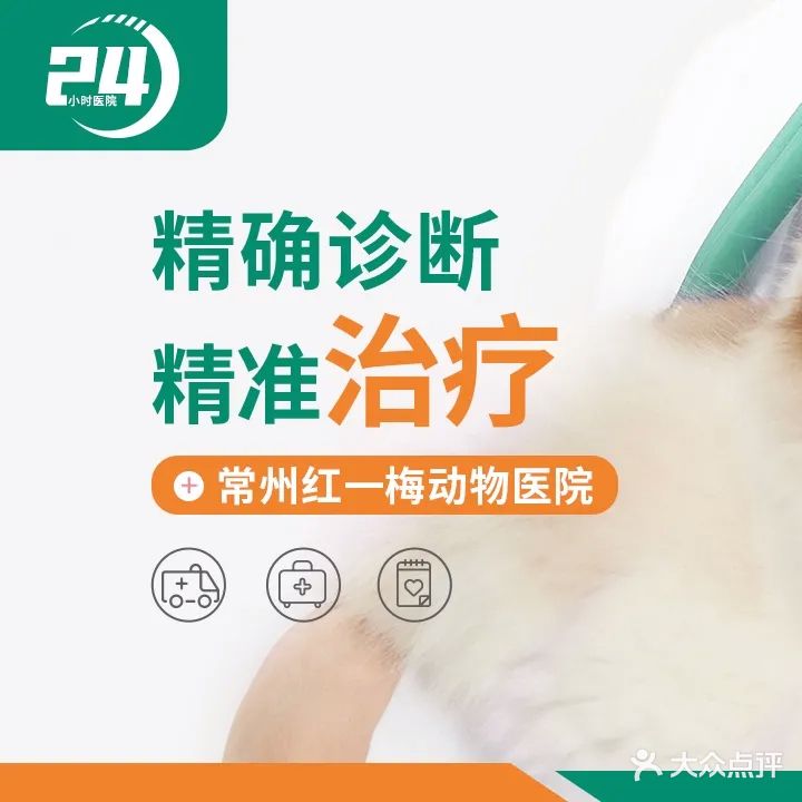 红梅动物医院