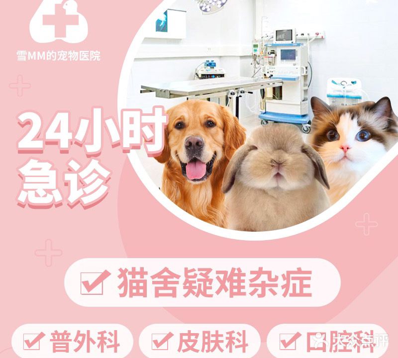 雪mm的宠物医院