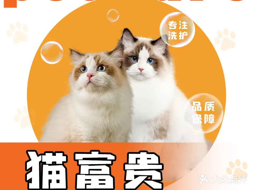 猫富贵宠物店