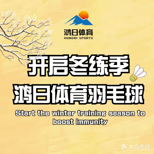 鸿日体育羽毛球