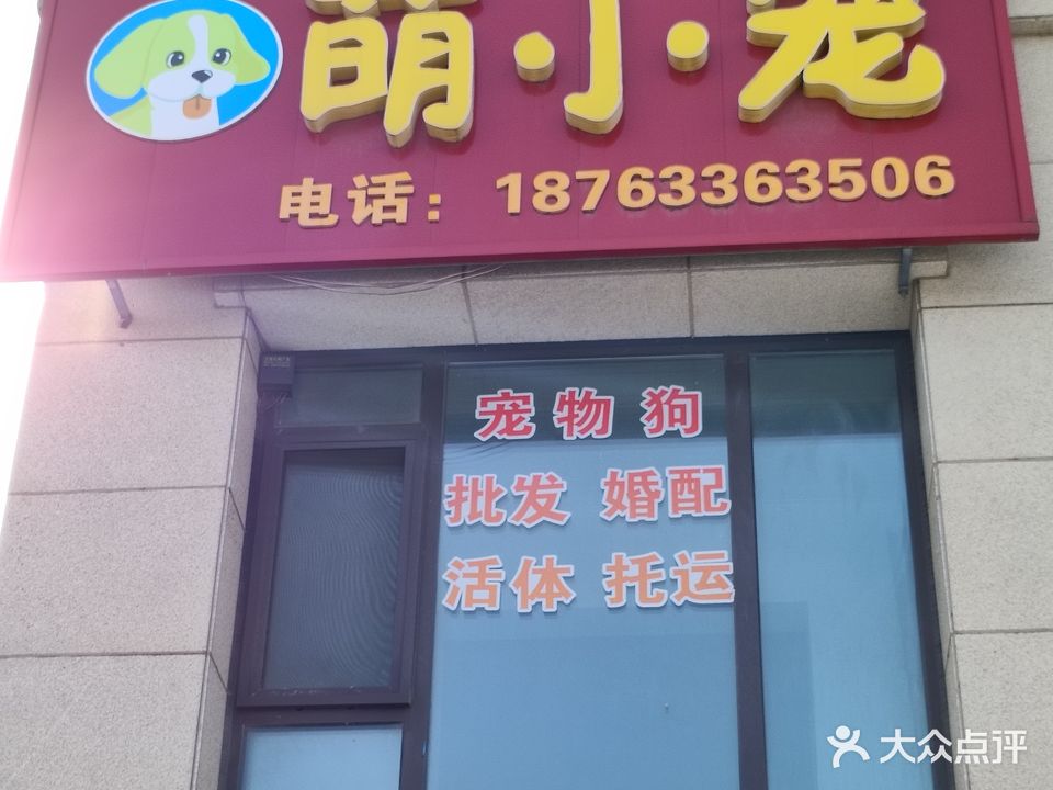 萌小宠(万城蓝钻庄园店)