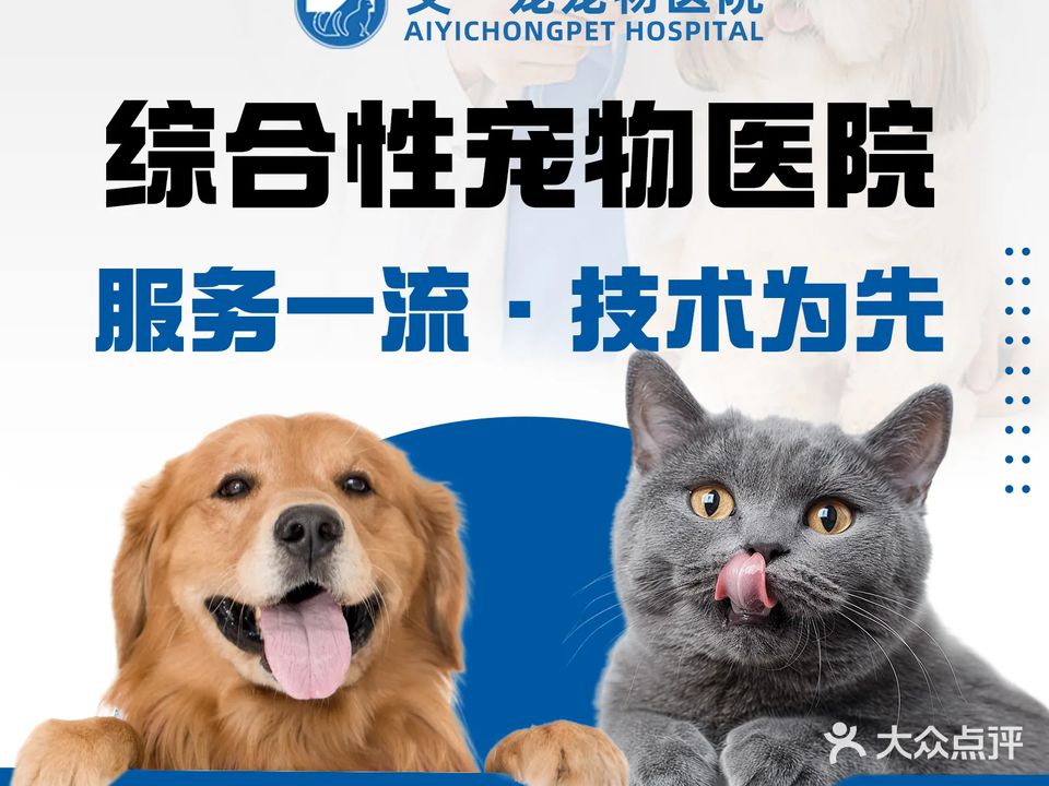 艾宠宠物诊所