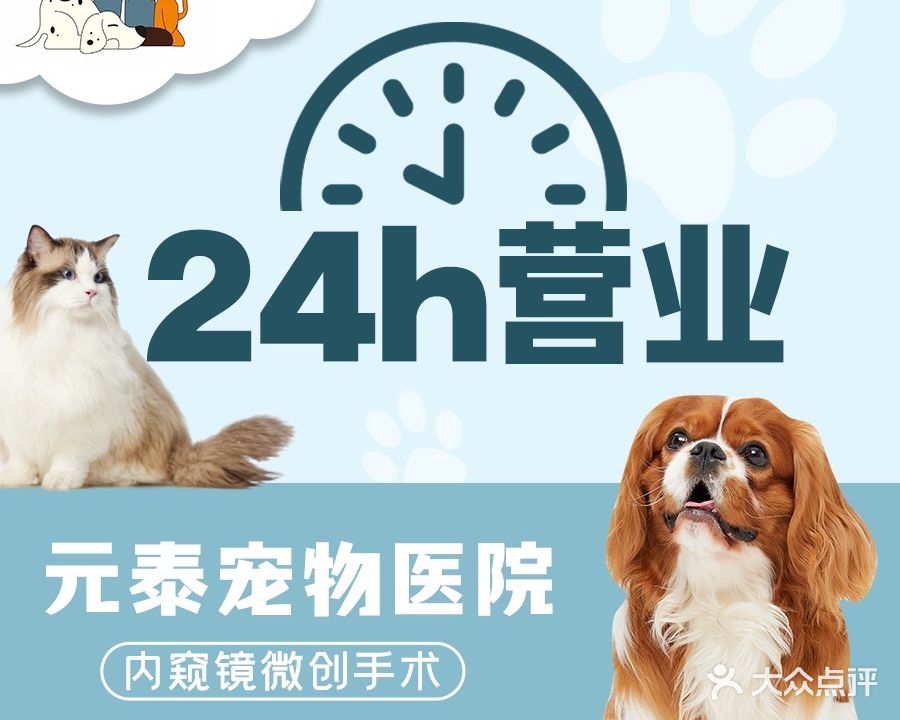 元泰宠物医院·夜诊·疑难内科肿瘤心脏科转诊中心