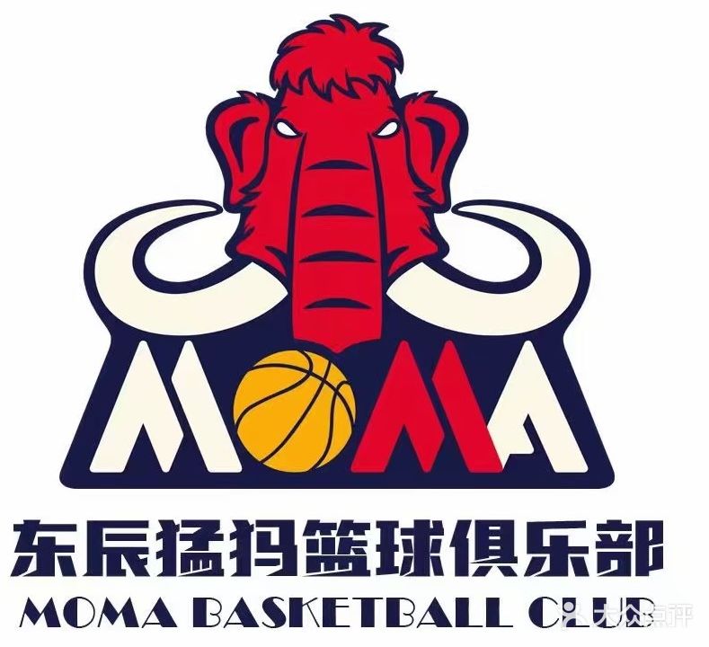 东辰猛犸篮球馆
