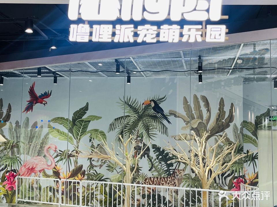 lollypet宠萌乐园(华强北中航城君尚购物中心店)