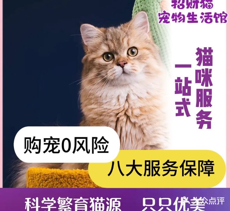 招财猫宠物生活馆(湖光路店)