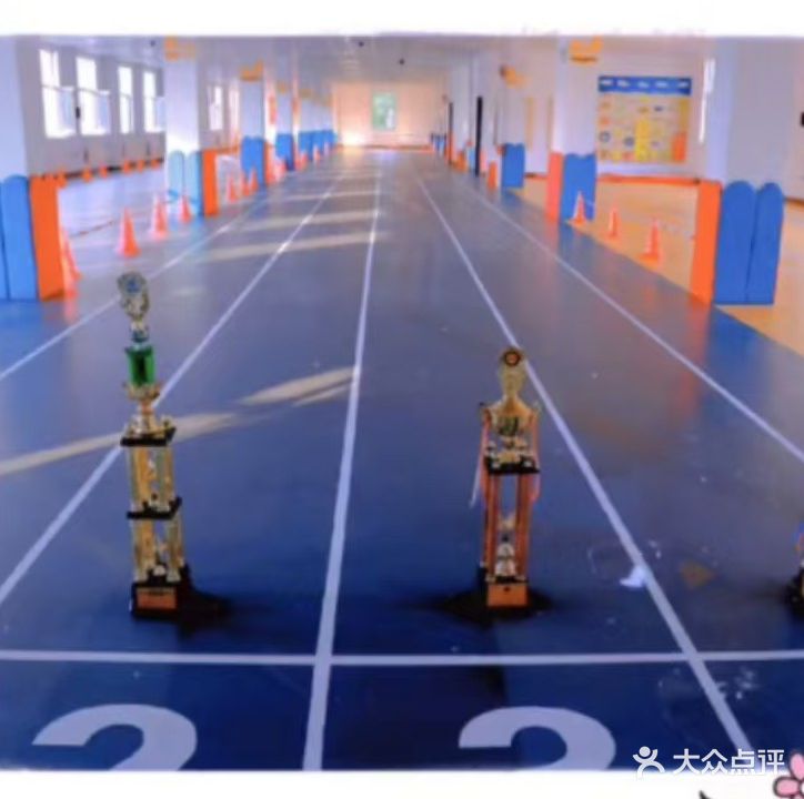 翼行运动