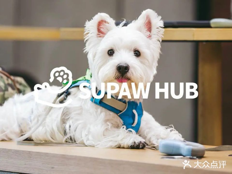 SUPAW HUB(华侨城店)