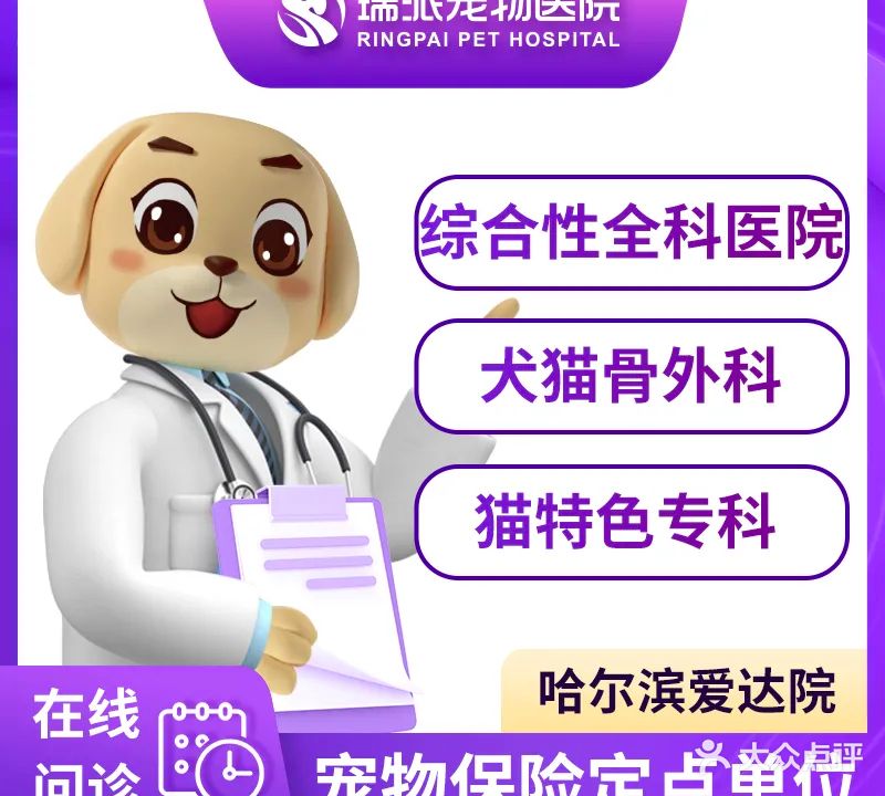 爱达动物医院