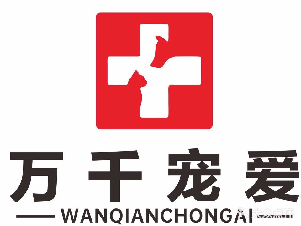 万千宠爱