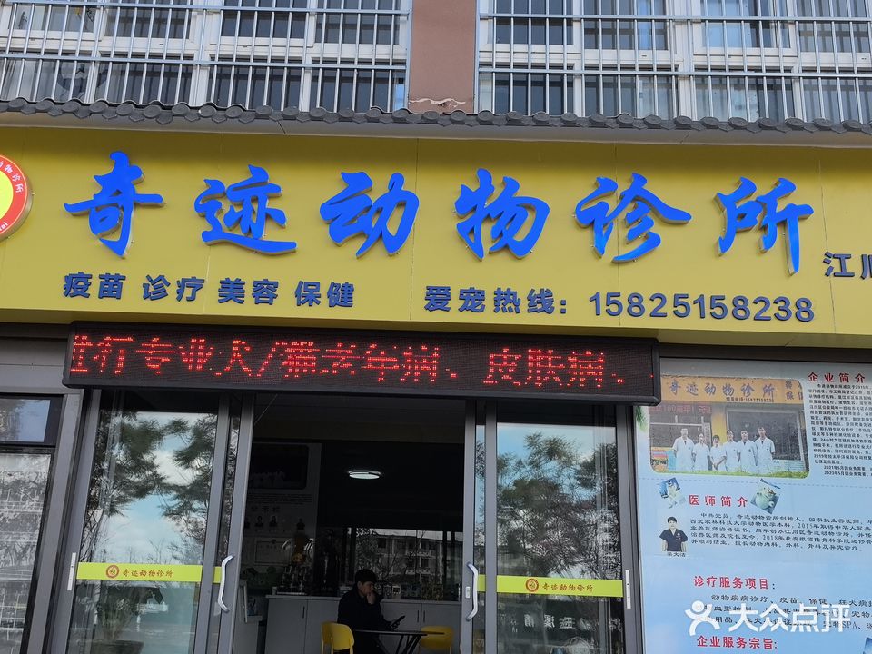 奇迹动物医院